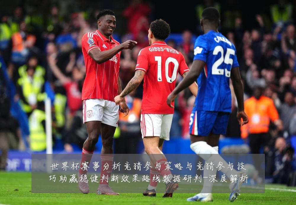 世界杯赛事分析竞猜参与策略与竞猜参与技巧助赢稳健判断效果路线数据研判-深度解析